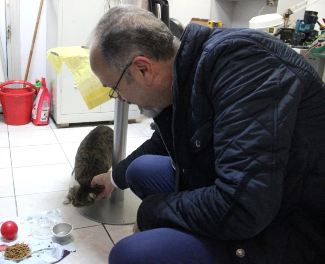Kedi Tırmığı ’Taksirle Adam Yaralamak’ Suçu Sayıldı Son Dakika