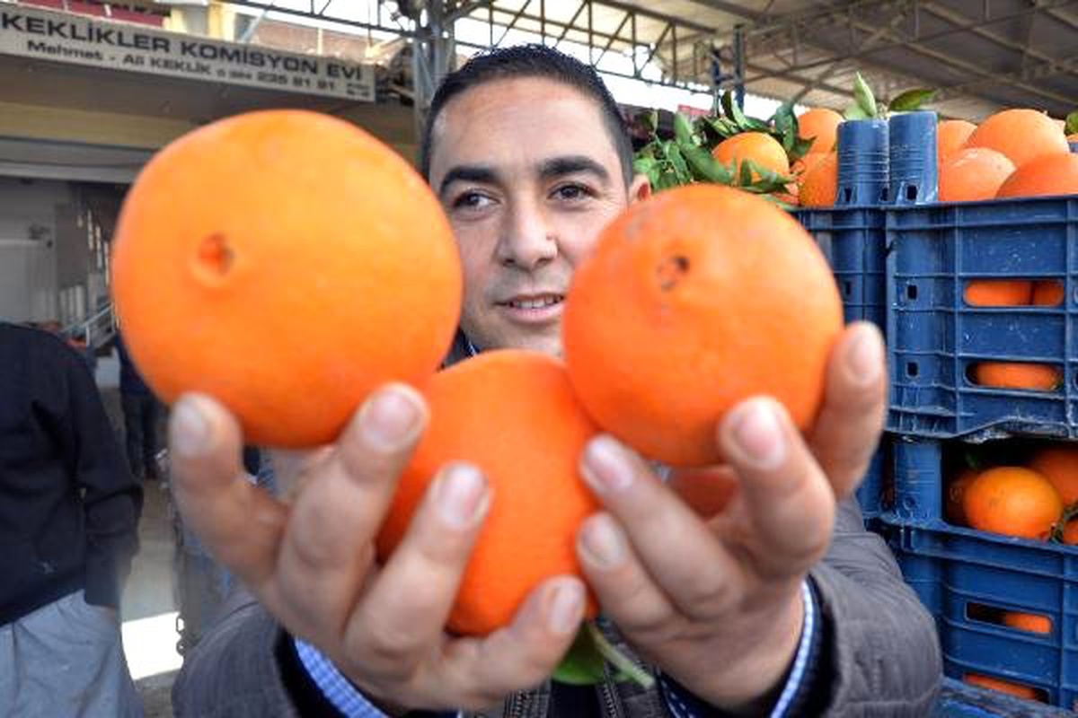 Portakalın Hal Çıkış Fiyatı 1,30, Mandalinanın İse 1,80 Tl