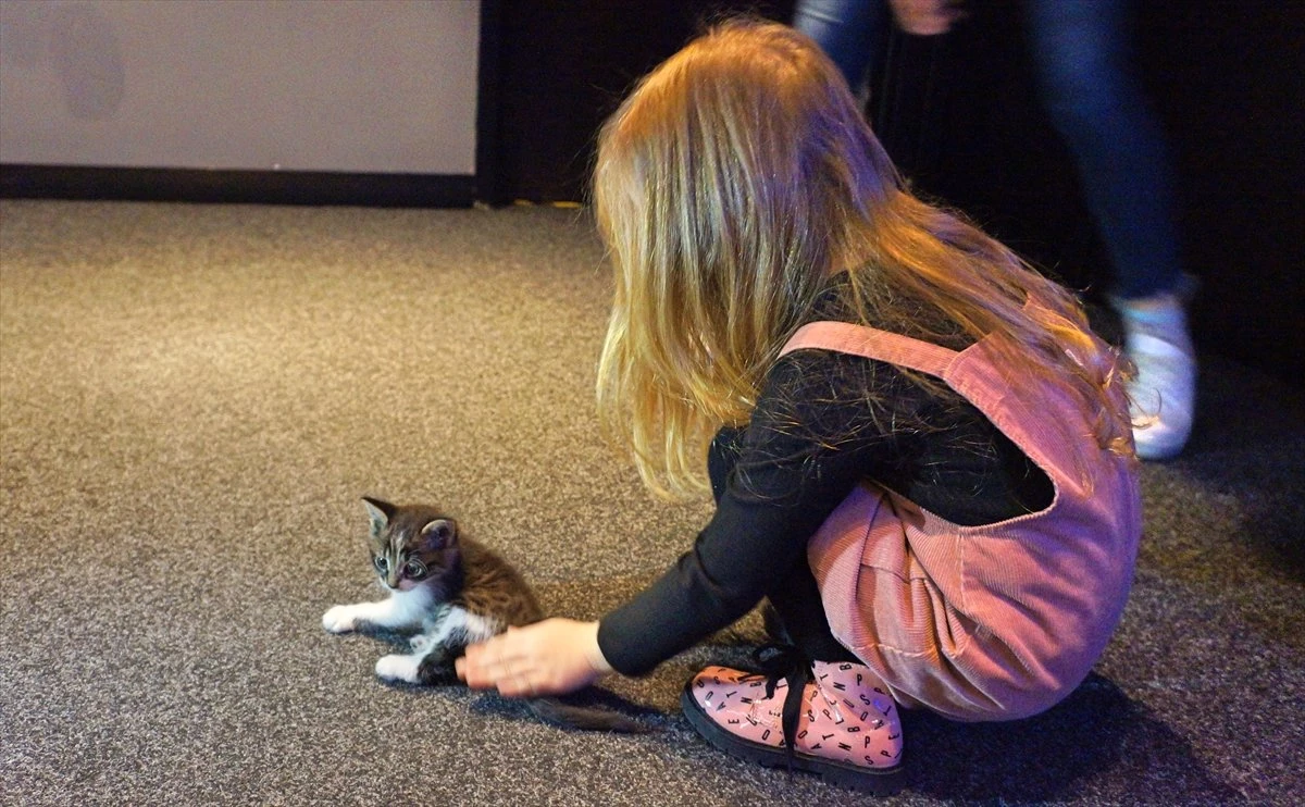 Sinema Salonunda Bulunan Kedi Çocukların İlgi Odağı Oldu