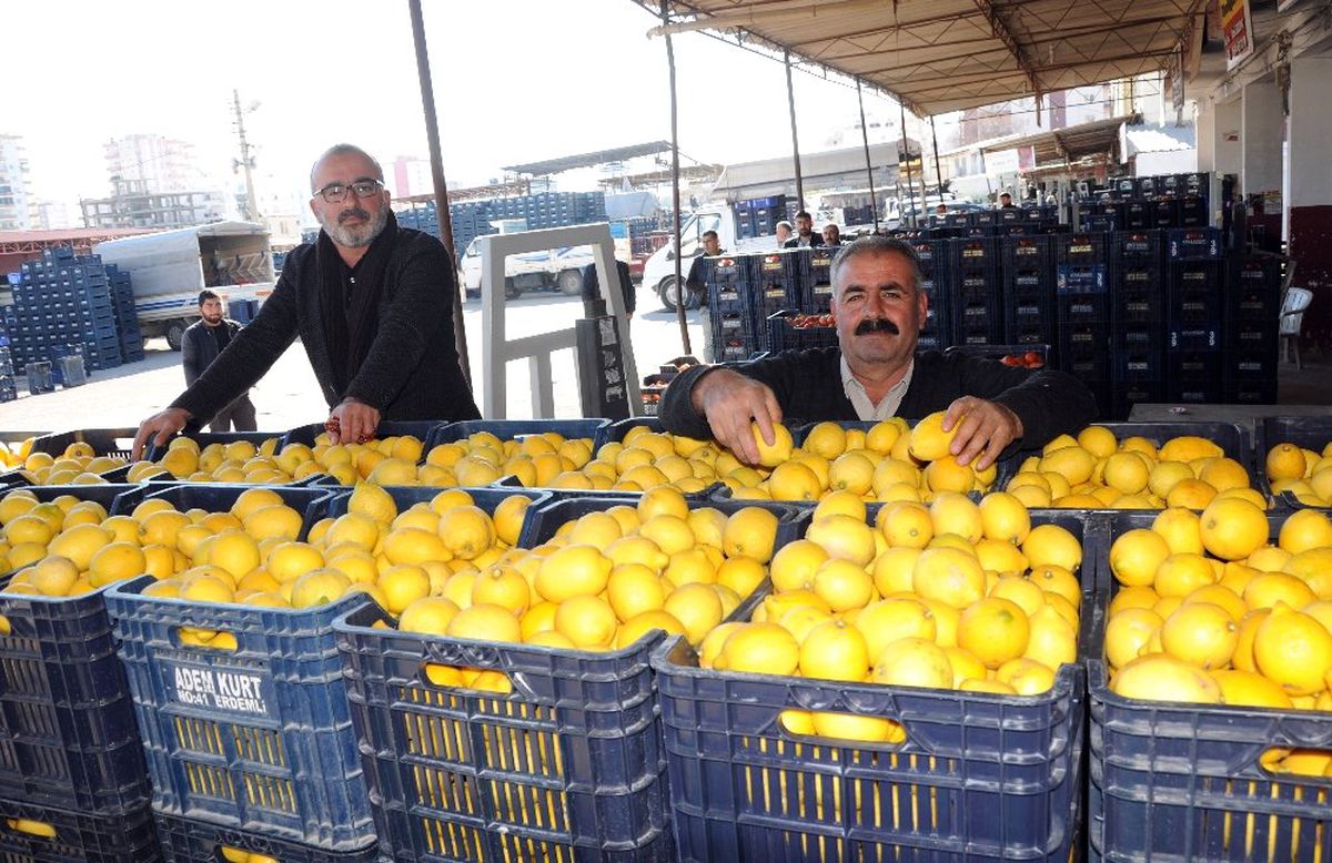Tarlada 80 Kuruş, Büyükşehirlerde 4 Misli