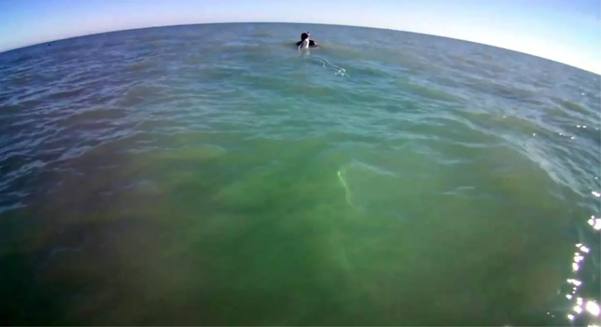 Buse\'nin Arandığı Bölgede Görüş Mesafesi 1 Metre