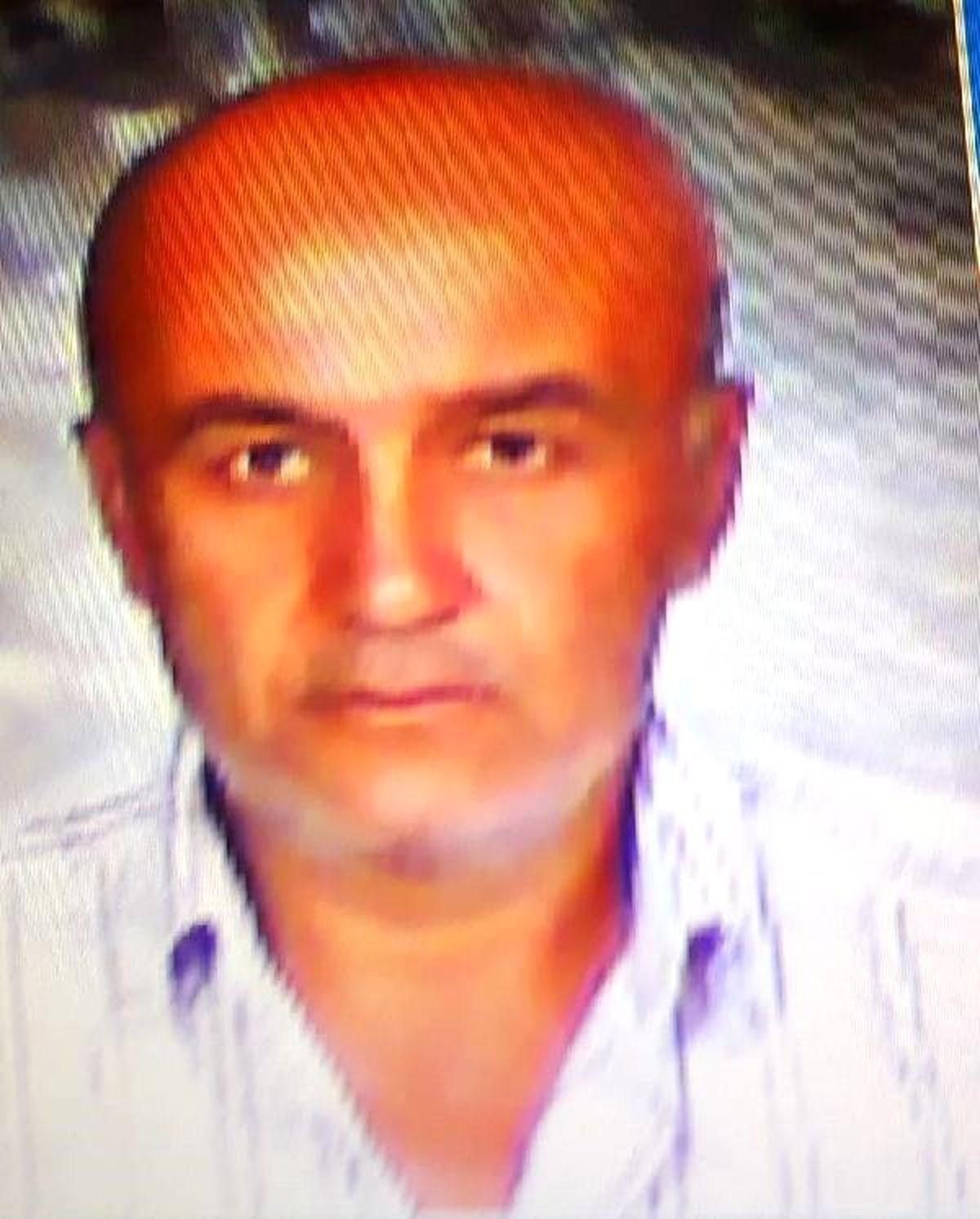 Bayramiç\'te Üzerine Ağaç Dalı Düşen Köylü Öldü