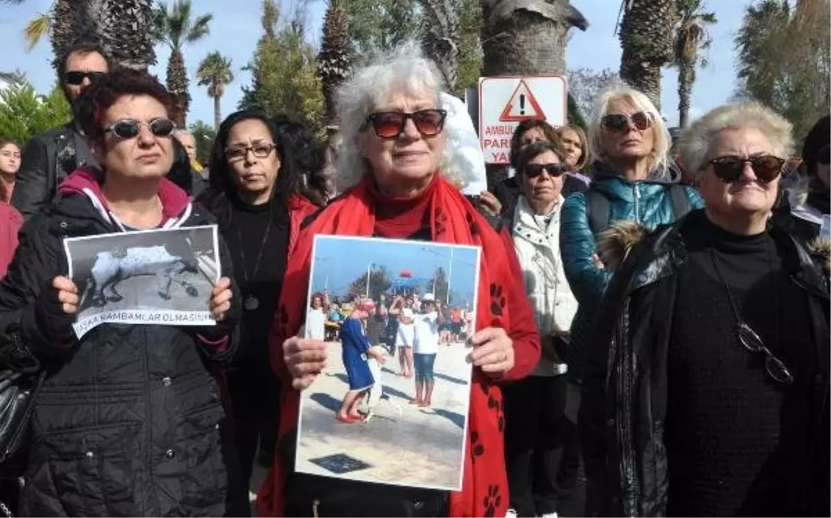 Datça\'da 3 Köpeğin Zehirlenerek Öldürülmesi Protesto Edildi