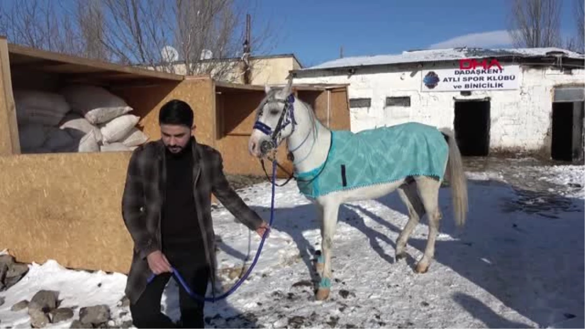 Erzurum Yarış Atına Doğum Günü Partisi