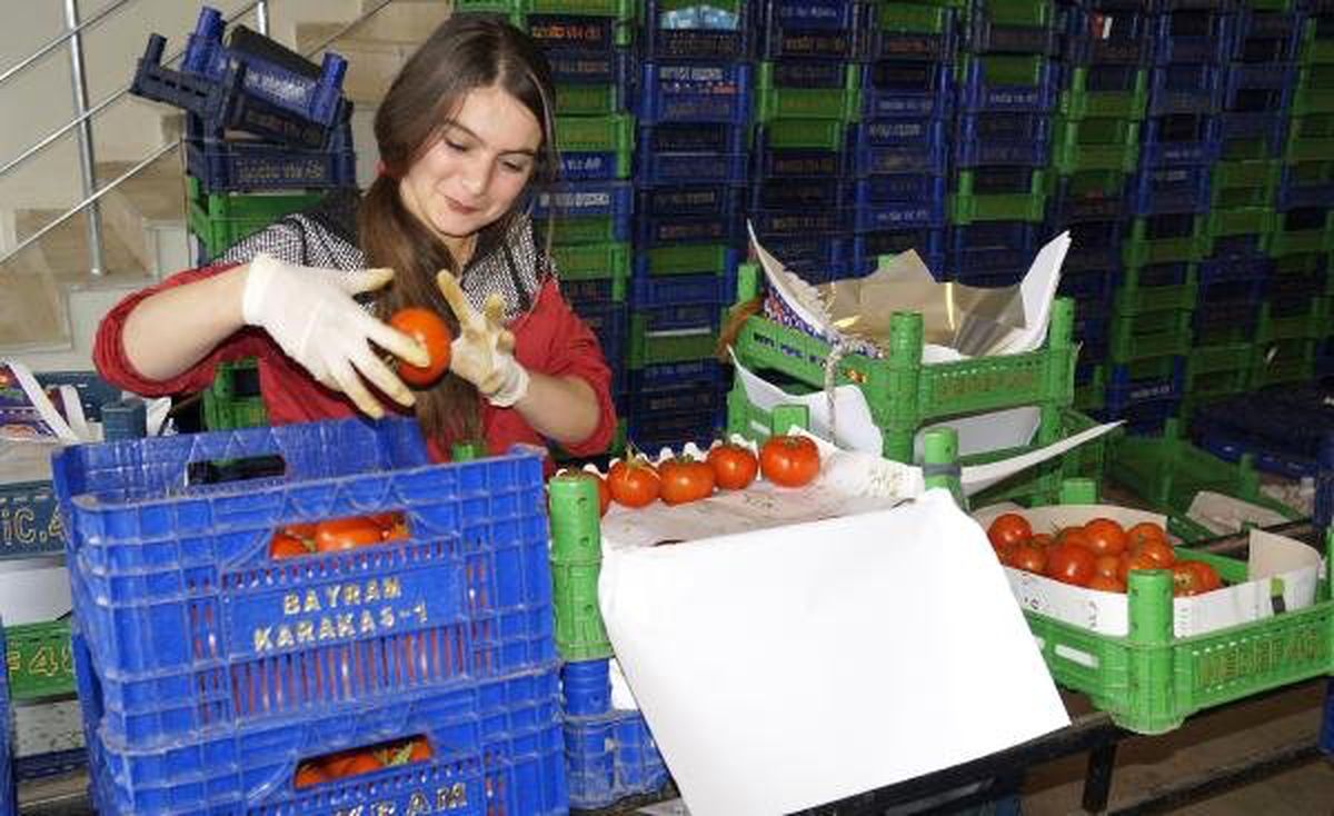 Finike Halindeki Sebze Fiyatlarında Düşüş