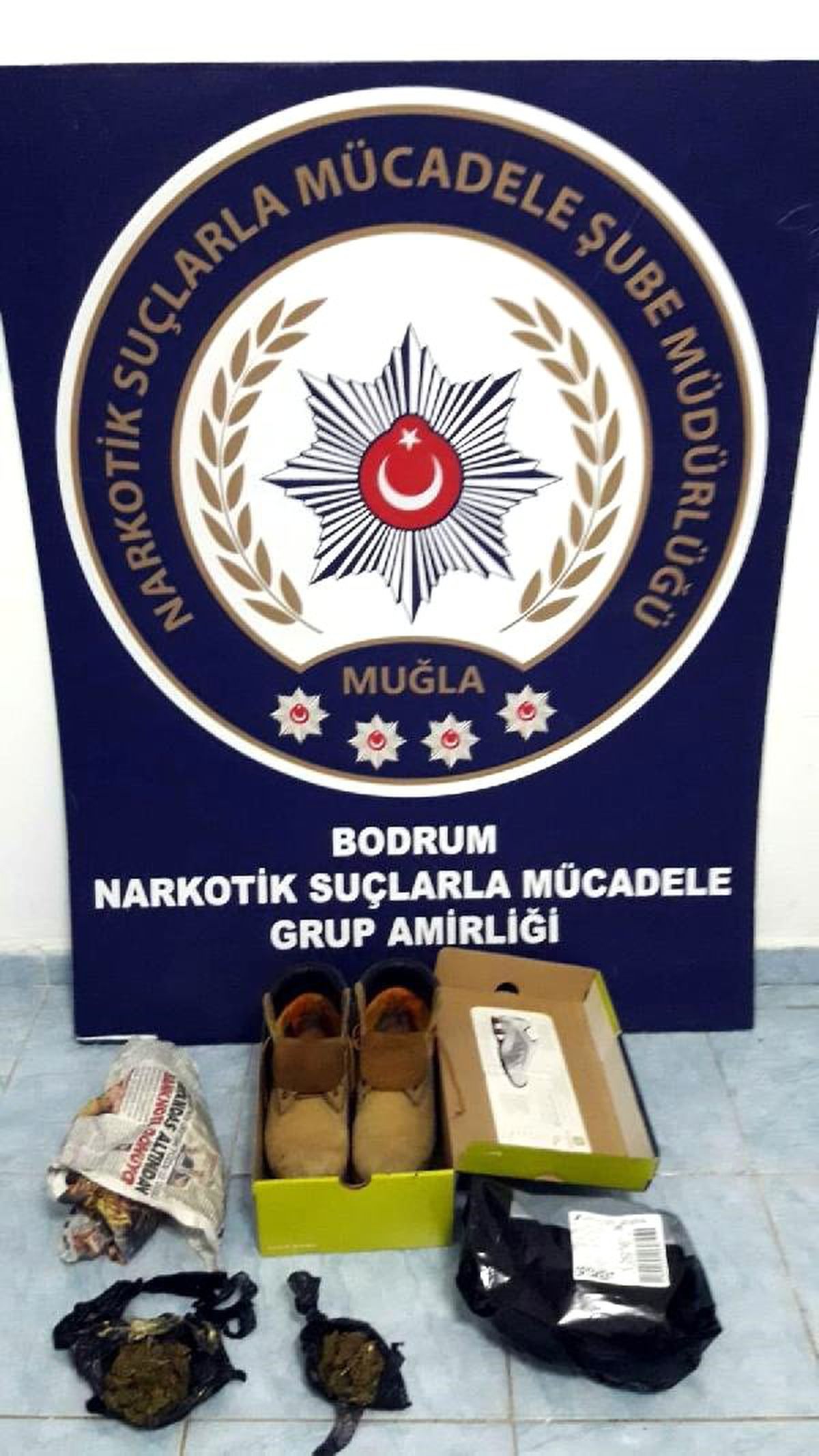 Kargo Paketindeki \'Skunk\'ı Molly Buldu