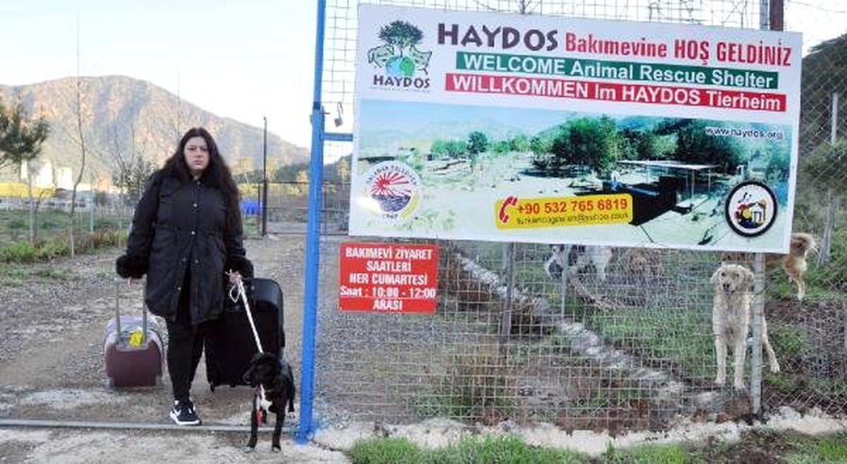 Koca Şiddetinden Kaçan Melanie, Hayvan Barınağına Sığındı
