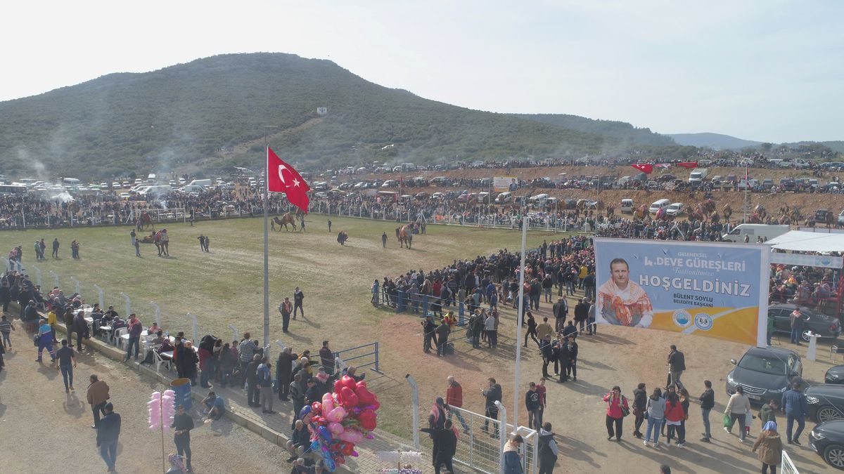 Menderes Deve Güreşlerine Onbinler Katıldı