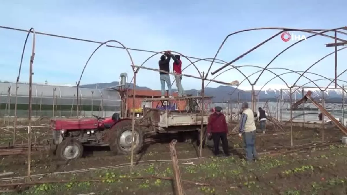 Tarsim Sigortası Olan Üreticiler Seralarını Yeniden Kurma Çalışmalarına Başladı