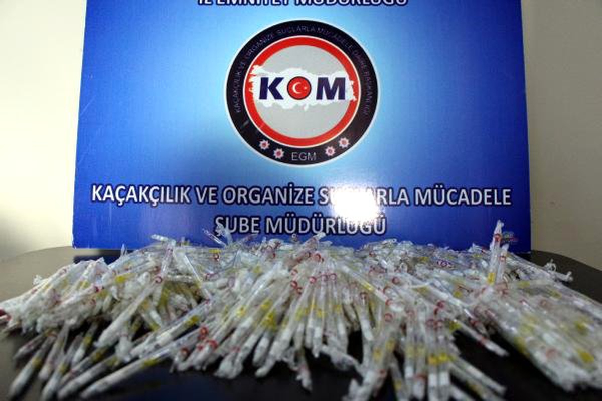 Bolu\'da, 5,6 Milyon Liralık Kobra Zehiri Ele Geçirildi
