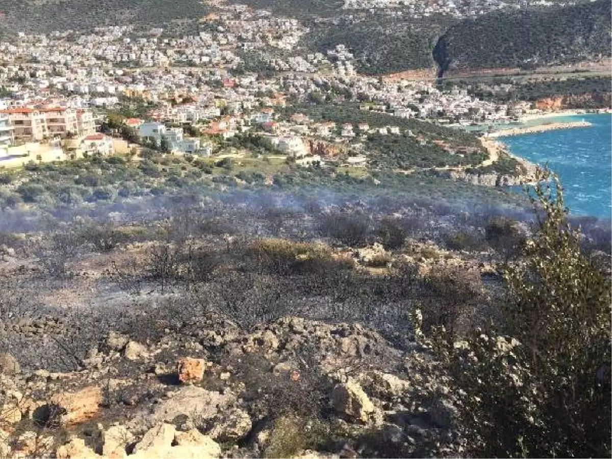 Kaş\'ta Zeytinlik ve Fundalık Alanda Yangın