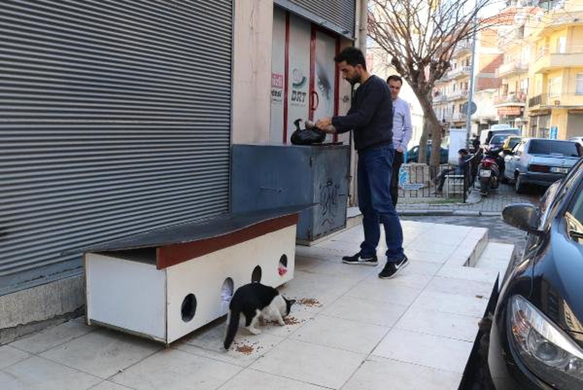 Sokak Köpeklerinin Kedi Evine Saldırısı Kamerada
