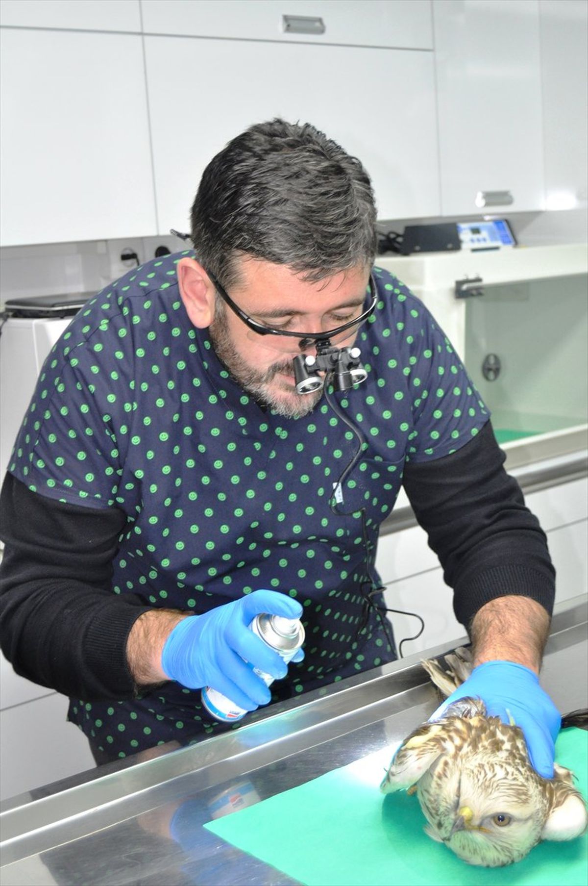 Ateşli Silahla Yaralanan Kartala Müdahale