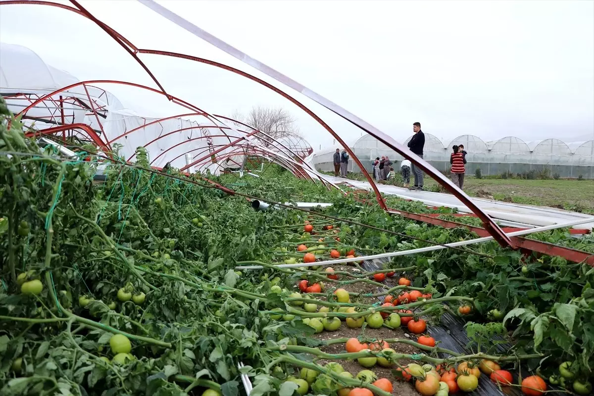 Muğla\'daki Şiddetli Fırtına