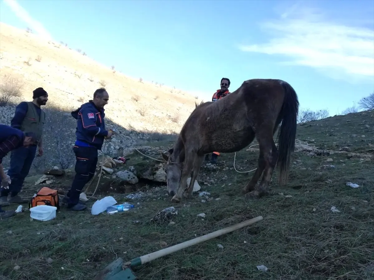 Su Sarnıcına Düşen At, Afad Ekiplerince Kurtarıldı