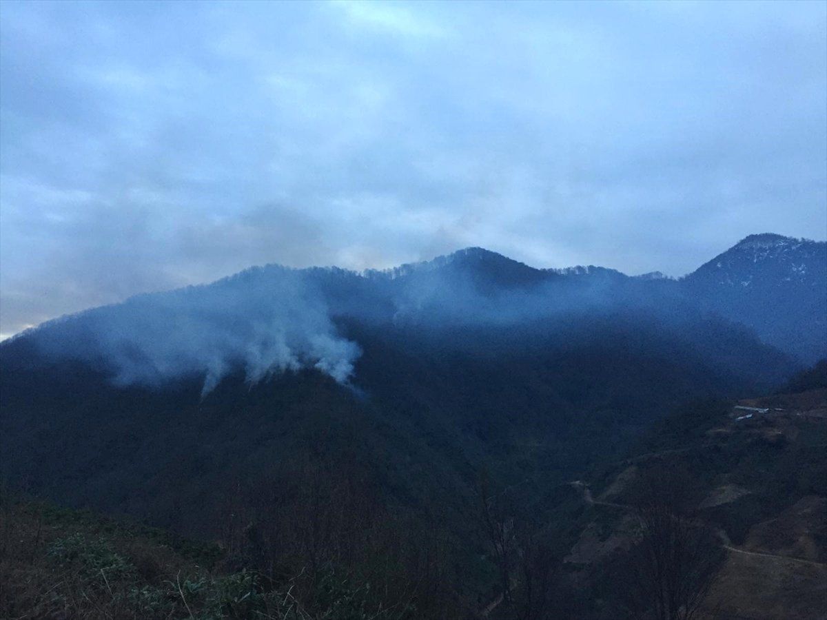 Artvin\'de Orman Yangını