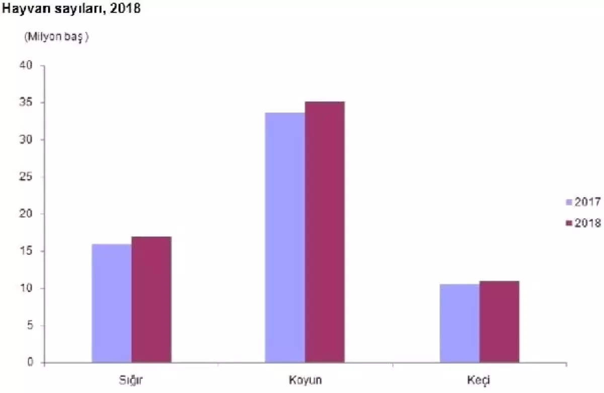 Büyükbaş ve Küçükbaş Hayvan Sayısı 2018\'de 3 Milyon Arttı