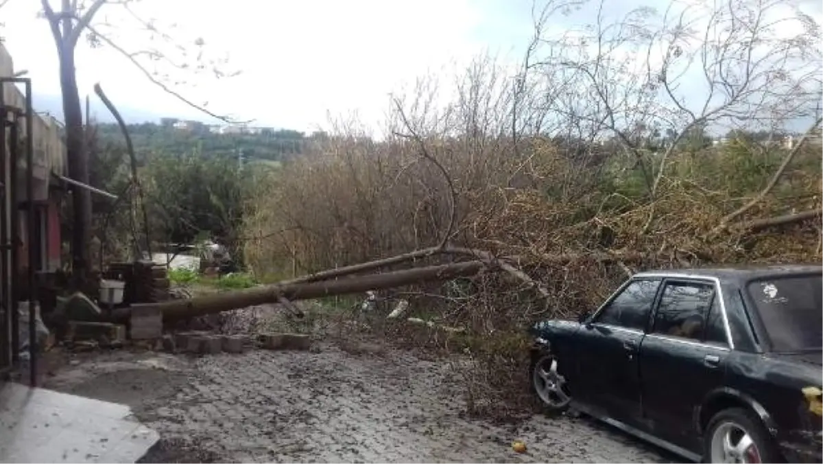 İskenderun Körfezi\'nde Fırtına Yıktı Geçti