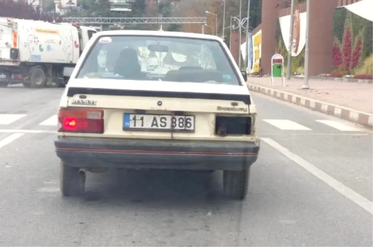 Köpeğin Bagajda Taşınmasına Tepki