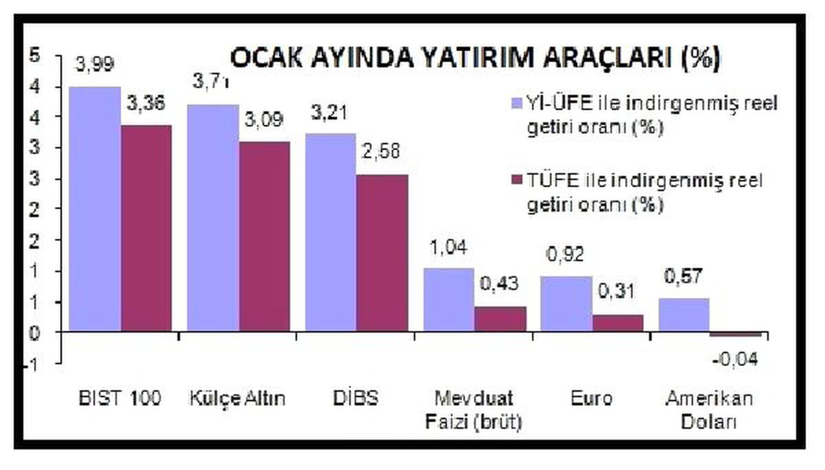 Ocak\'ta En Çok Bist100 Kazandırdı, Dolar Kaybettirdi
