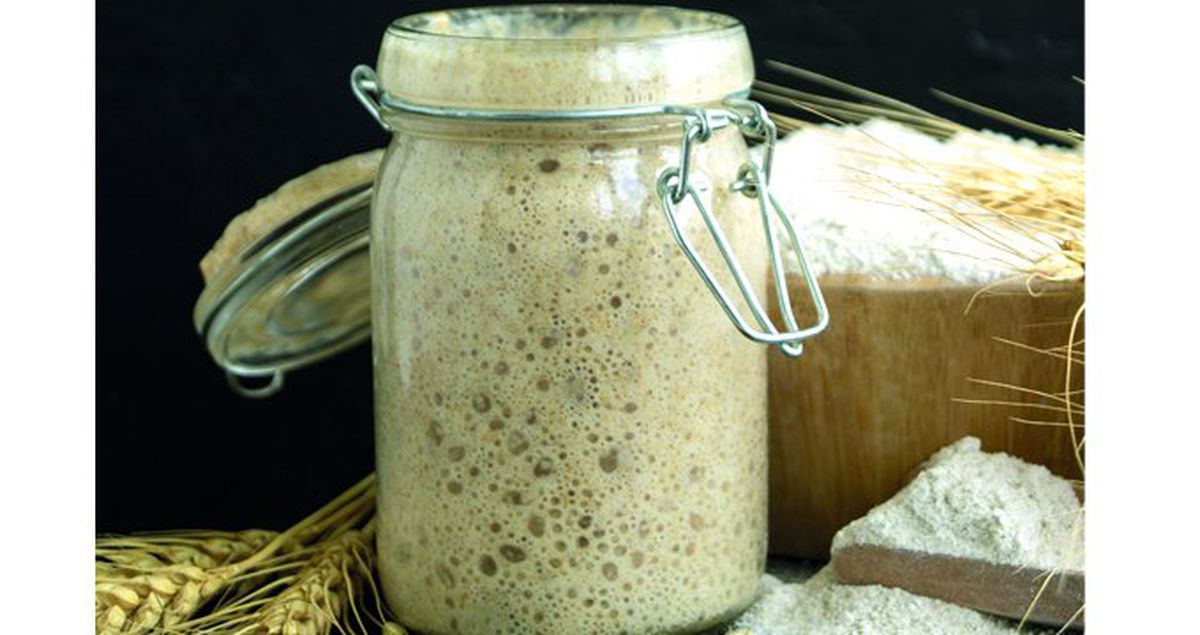 Gluten, Ekşi Maya Ve Fermantasyon İlişkisi