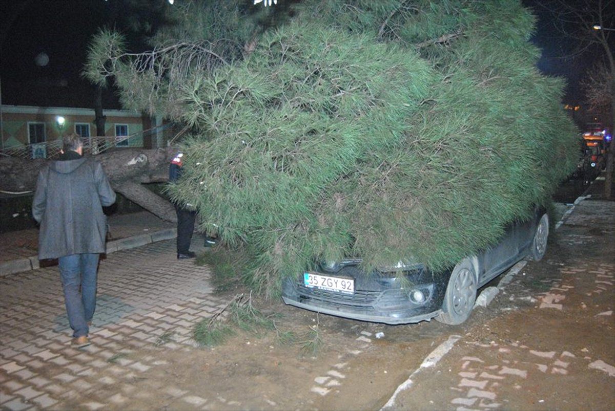 Ağaç Otomobilin Üzerine Devrildi