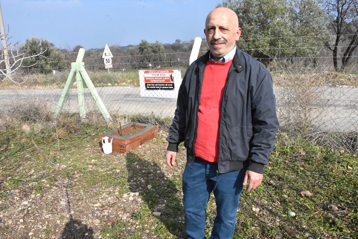 Ölen "Sosyal Medya Fenomeni" Kediye Mezar Yaptırdı