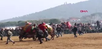 Ordu Develer Ödemiş'te Güreşti