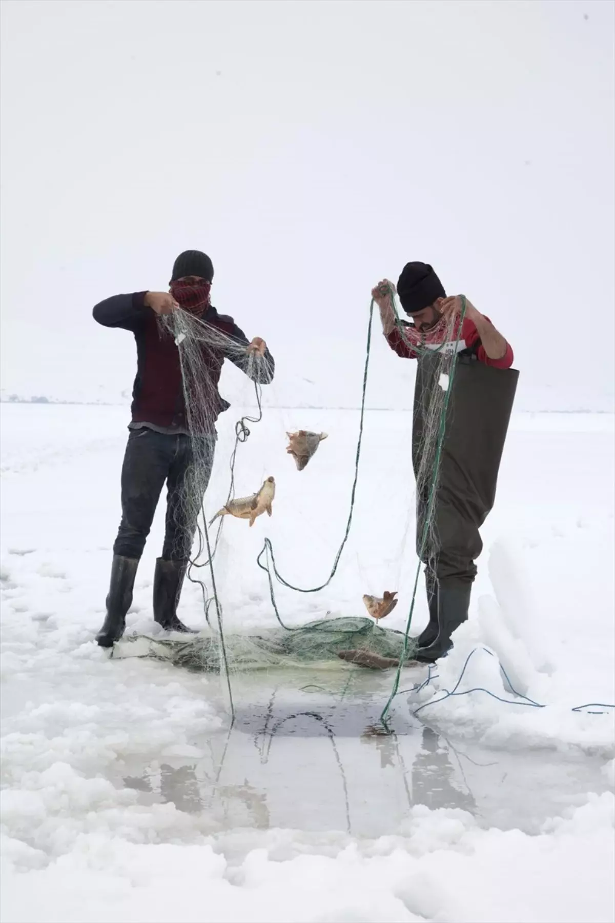 Bitlis\'te Donan Gölde Balık Avı