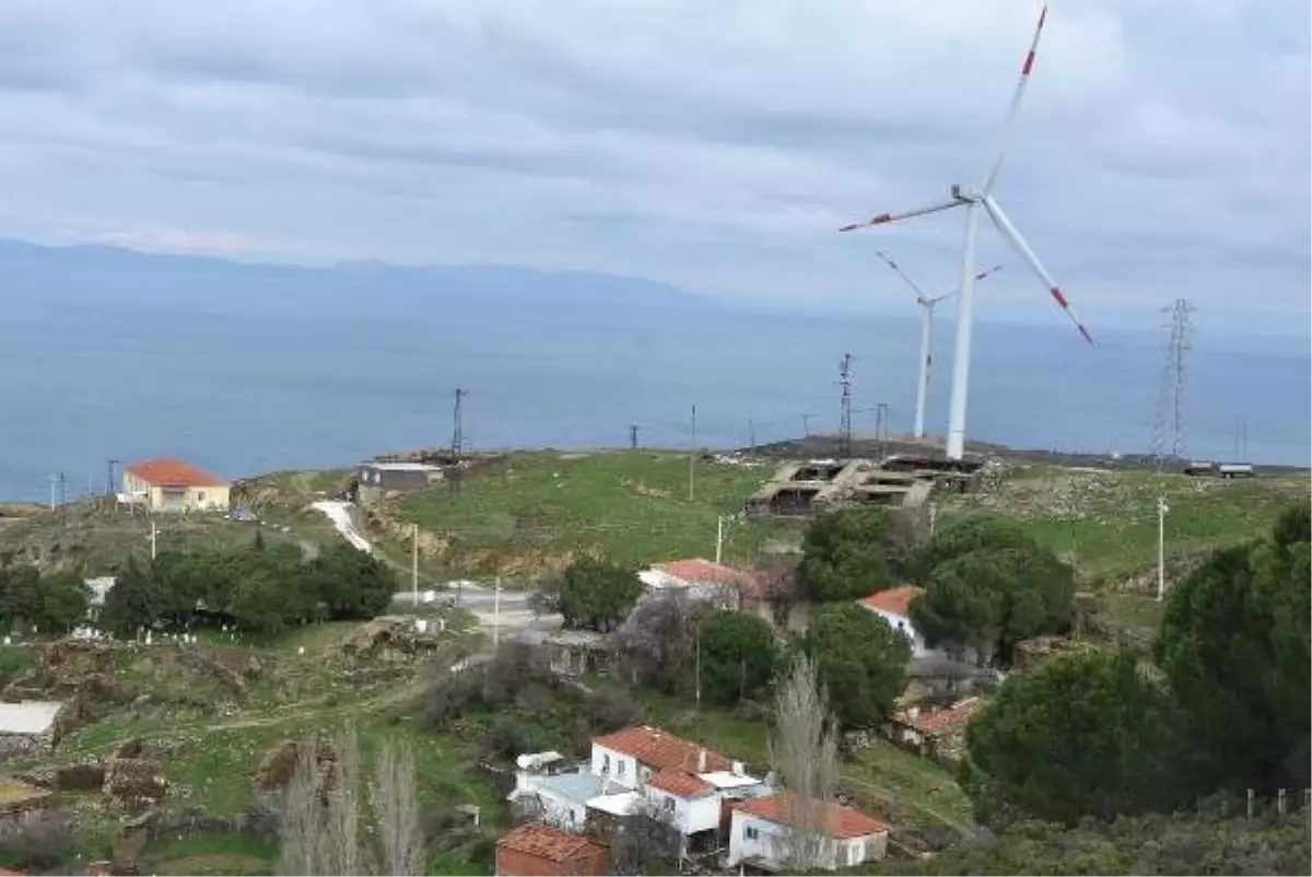 Karaburun\'da Kurulan Res\'ler, Kıl Keçilerinin Otlak Alanlarını Bitirdi