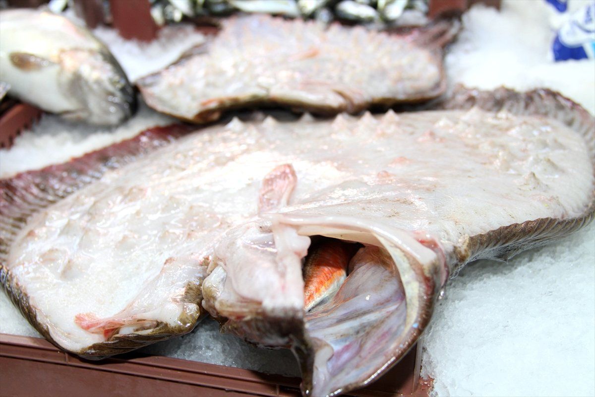 Karadeniz\'de Avlanan Kalkan 750 Liraya Satıldı