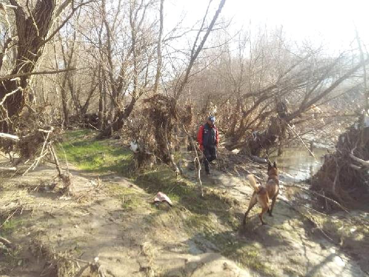 Kayıp Barış, Kadavra Köpeği \'Abrek\'le Aranıyor - Yeniden