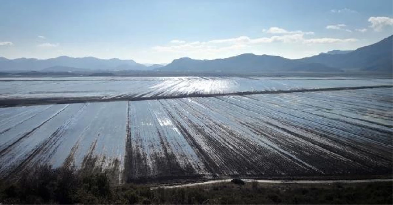 Kestel Ovası\'nda 30 Bin Dekar Tarım Arazisi Su Altında Kaldı