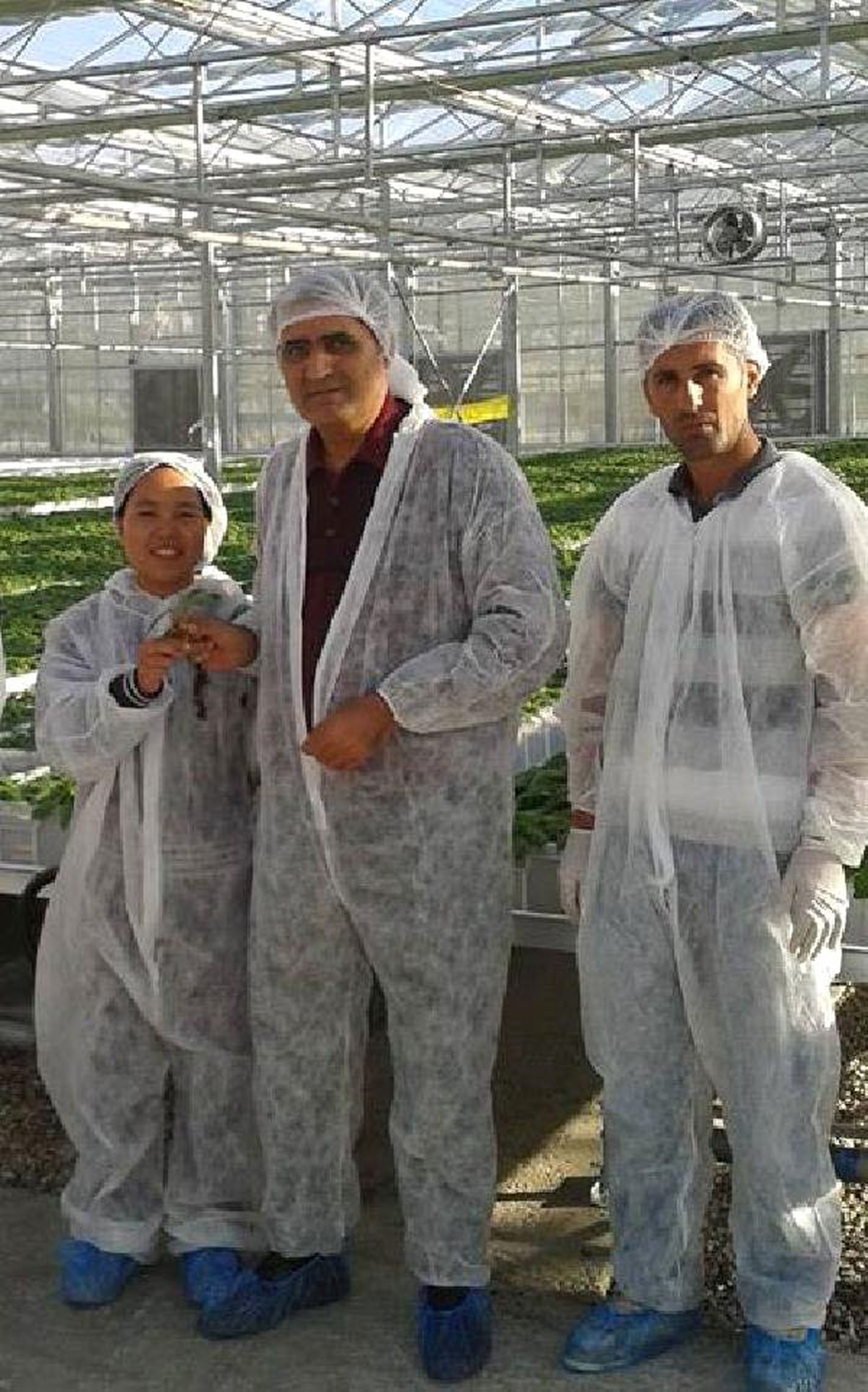 Konya Şeker\'den Yerli Patates Tohumu