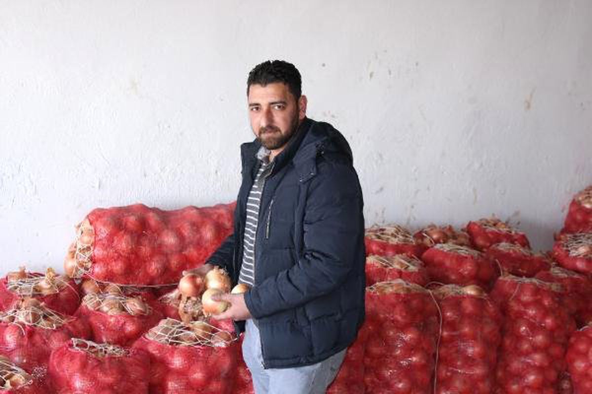 Niğde\'de Soğanın Fiyatı Düştü