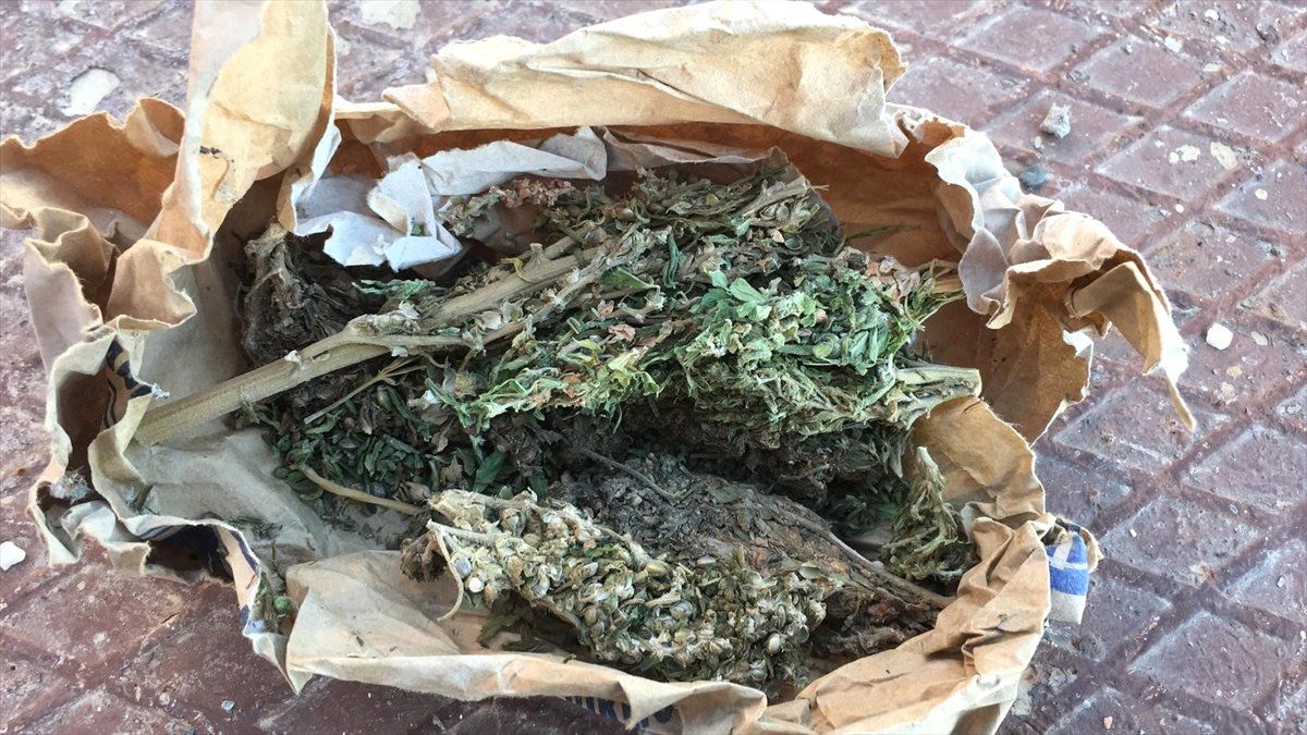 Tokat\'ta "Torbacı" Operasyonu
