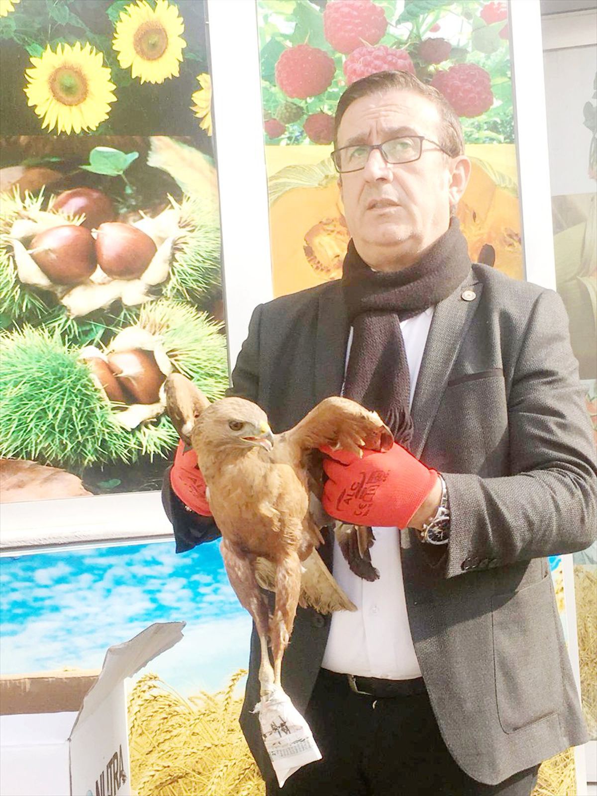 Yaralı Şahin Belediye Ekiplerine Teslim Edildi