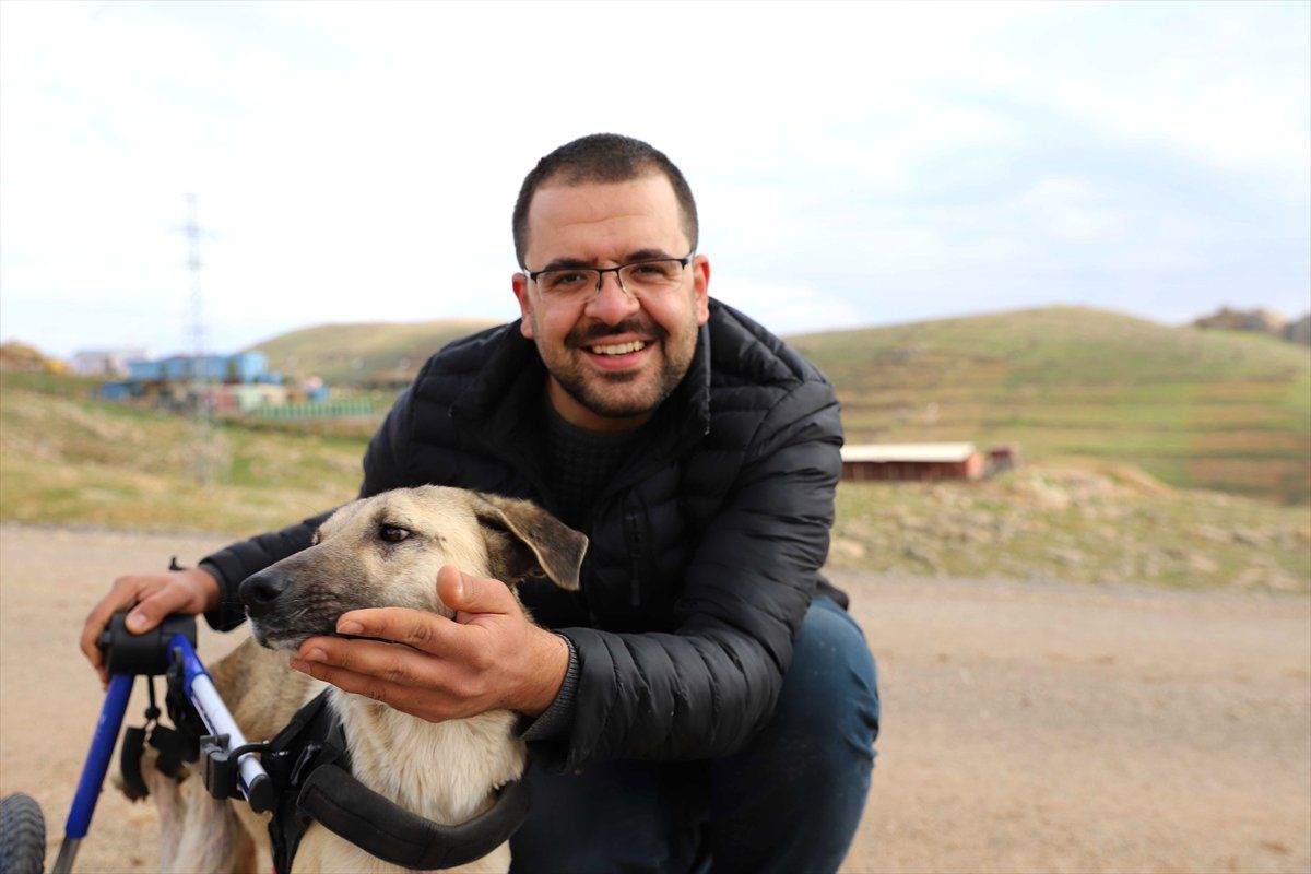 Mardin\'de 6 Bin Sokak Hayvanı Tedavi Edildi