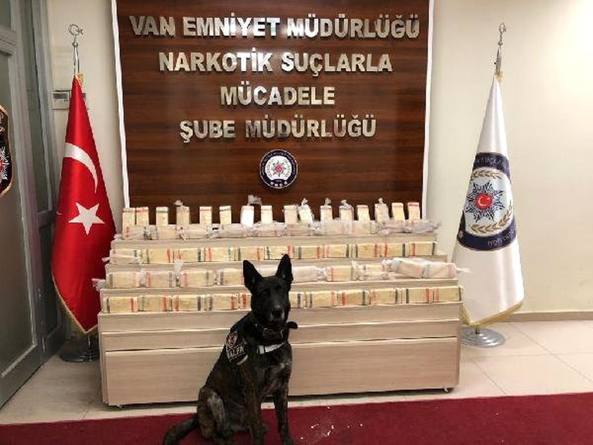 Tır\'ın Rüzgarlığına Gizlenen 30 Kilo Eroin Ele Geçirildi