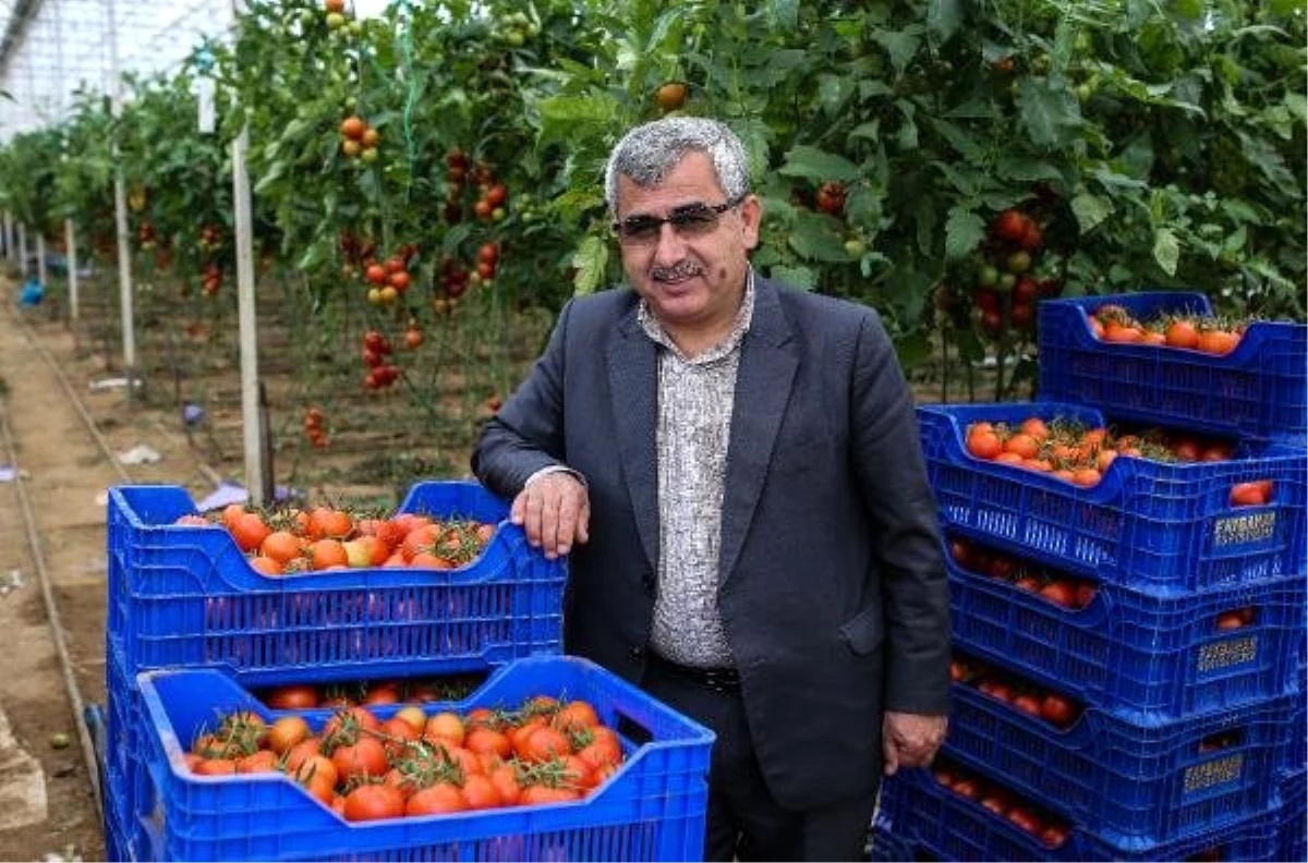 Antalya\'dan Tanzim Satış Noktalarına 3 Günde 1000 Ton Sebze Gönderildi (2)