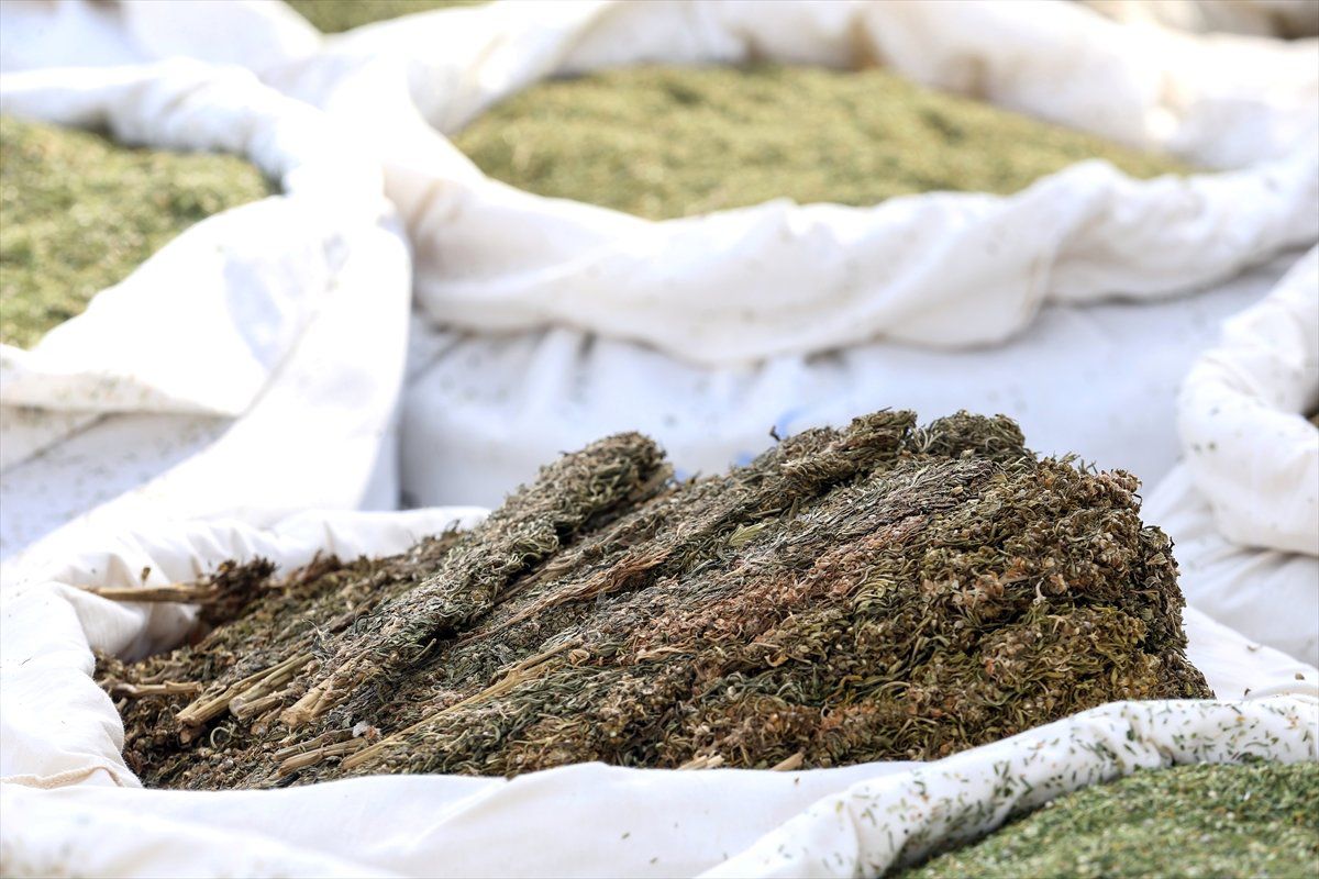 Diyarbakır\'da 5 Ton 209 Kilogram Esrar Ele Geçirilmesi