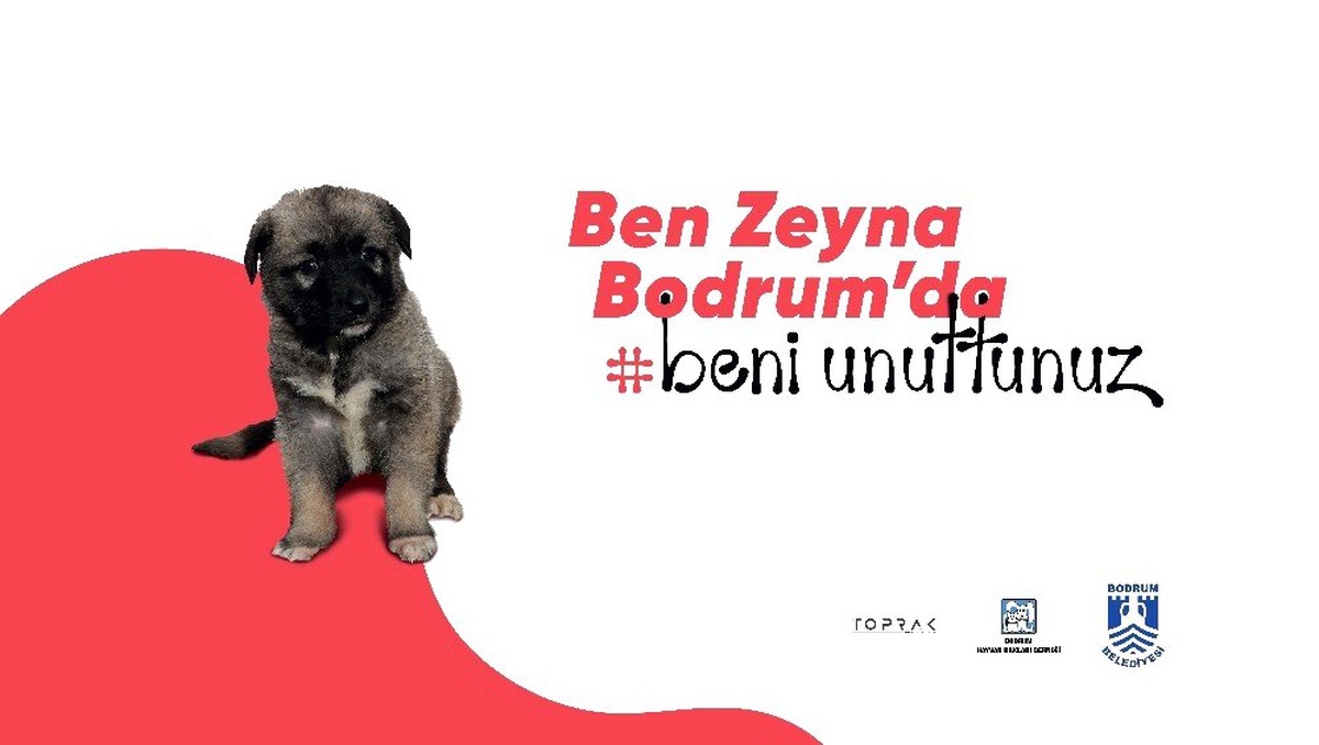 Dostlar İçin Sosyal Sorumluluk Projesi