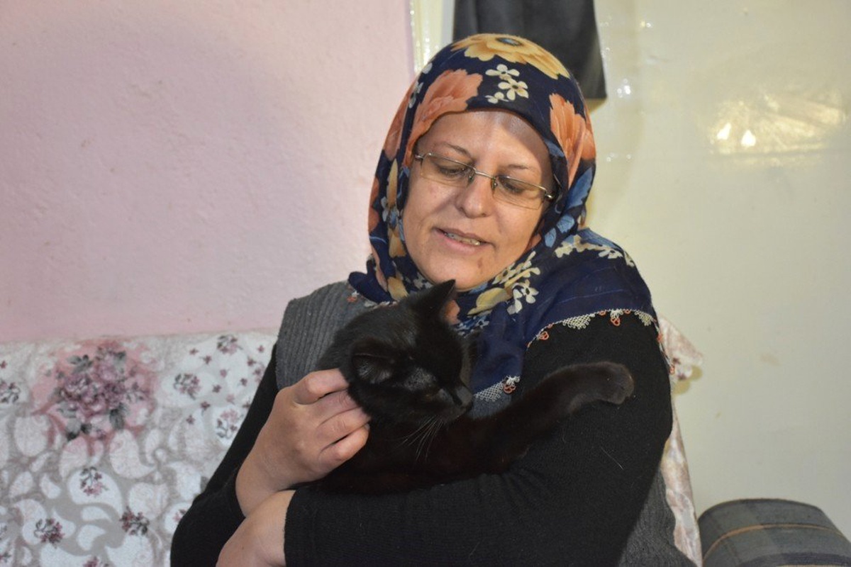 Kedici Kadın" 80 Kediye Annelik Yapıyor