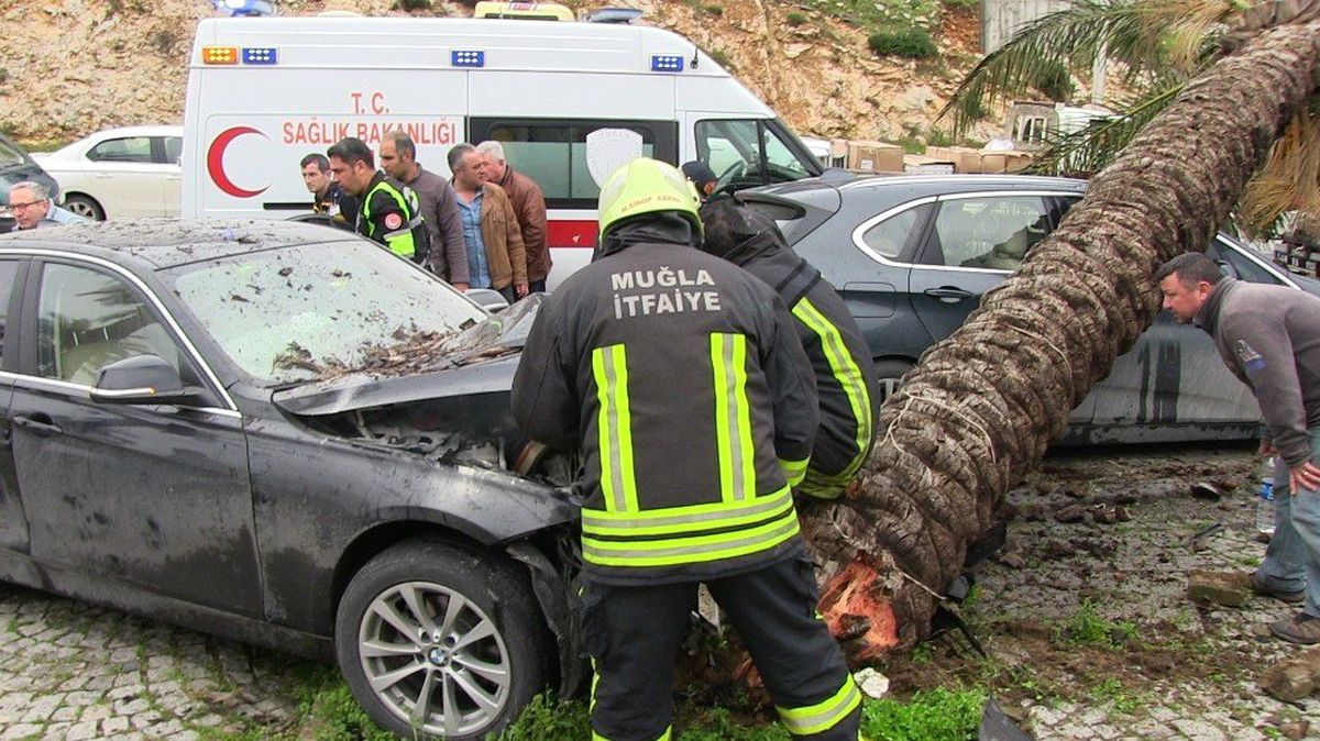 Otomobilin Devirdiği Ağaç Başka Bir Otomobili Hurdaya Çevirdi