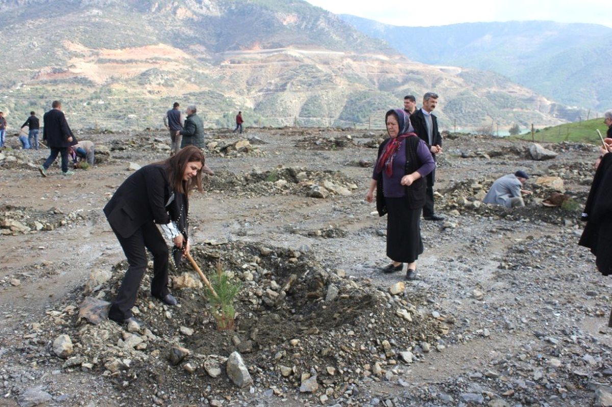 Şehit Hasan Kuş Adına Hatıra Ormanı Oluşturuldu