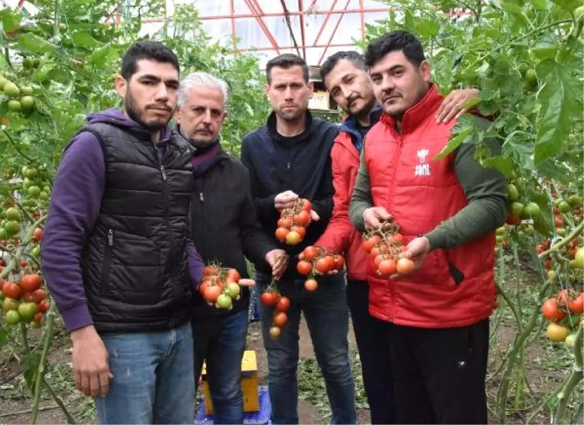 Üretici Tanzim Satışa Karşı Değil