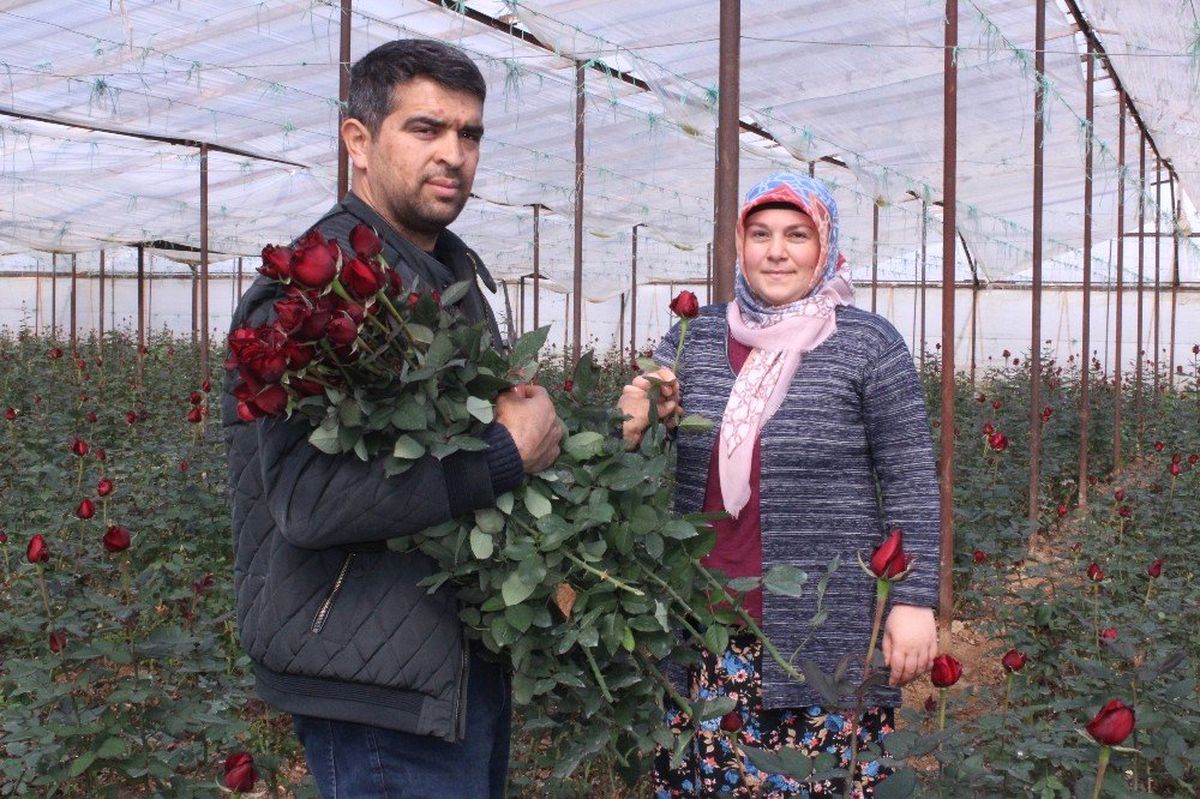 Güllerin İçinde Sevgililer Günü Kutlaması