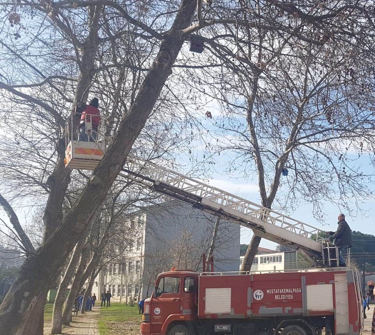 Öğrenciler Kuşları "Ev"Lendirdi
