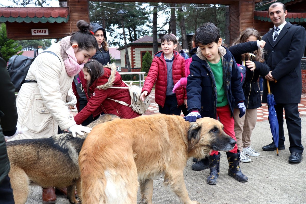 Sevgilerini Sokak Köpeklerine Mama Alarak Gösterdiler