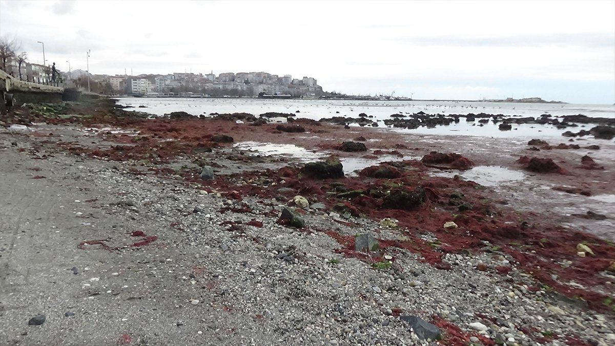 Silivri\'de Deniz Suyu Çekildi